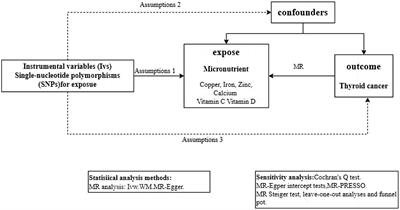 The effect of micronutrient on thyroid cancer risk: a Mendelian randomization study